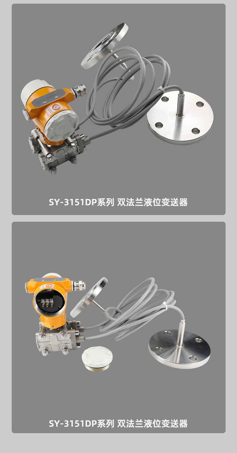 SY-3151DP-系列-双法兰液位变送器_07.png